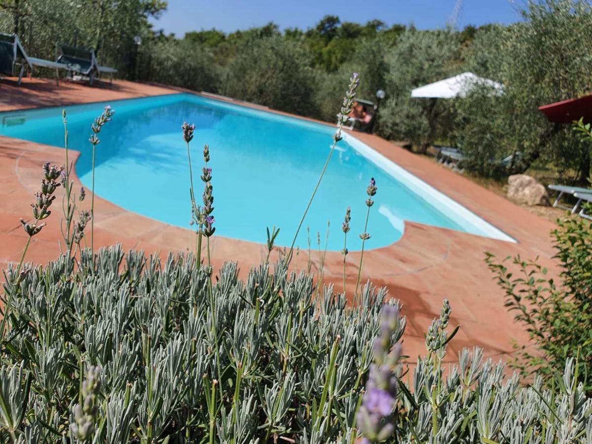Agriturismo "Crocino In Chianti" Gaiole in Chianti Exteriér fotografie