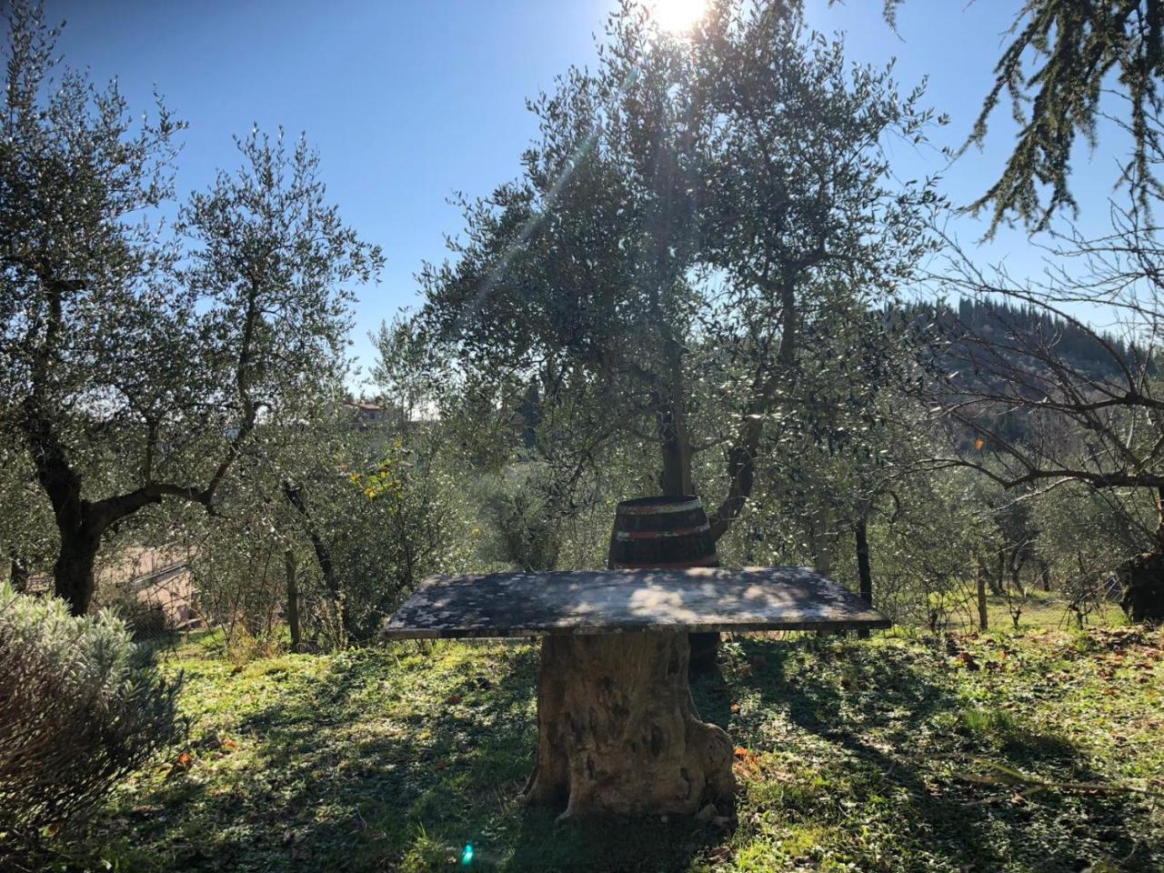Agriturismo "Crocino In Chianti" Gaiole in Chianti Exteriér fotografie