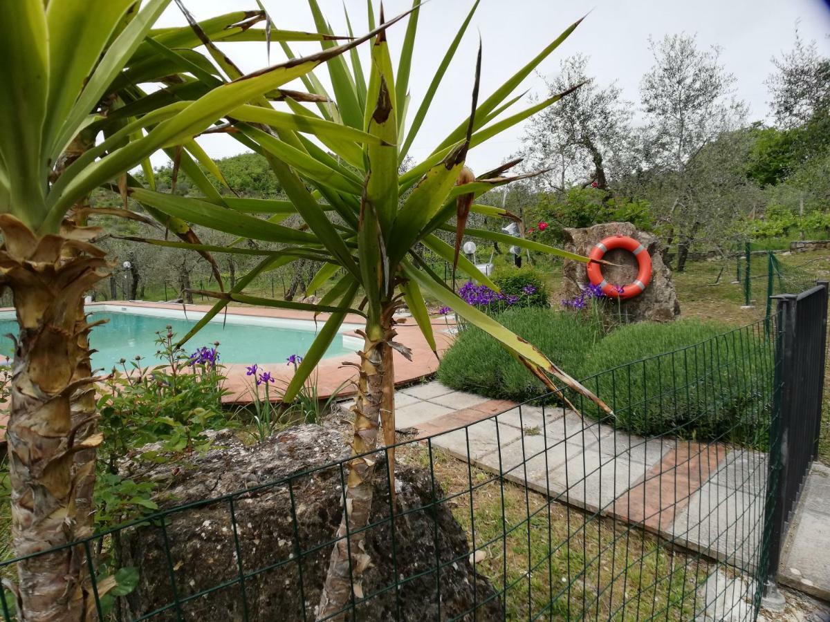 Agriturismo "Crocino In Chianti" Gaiole in Chianti Exteriér fotografie