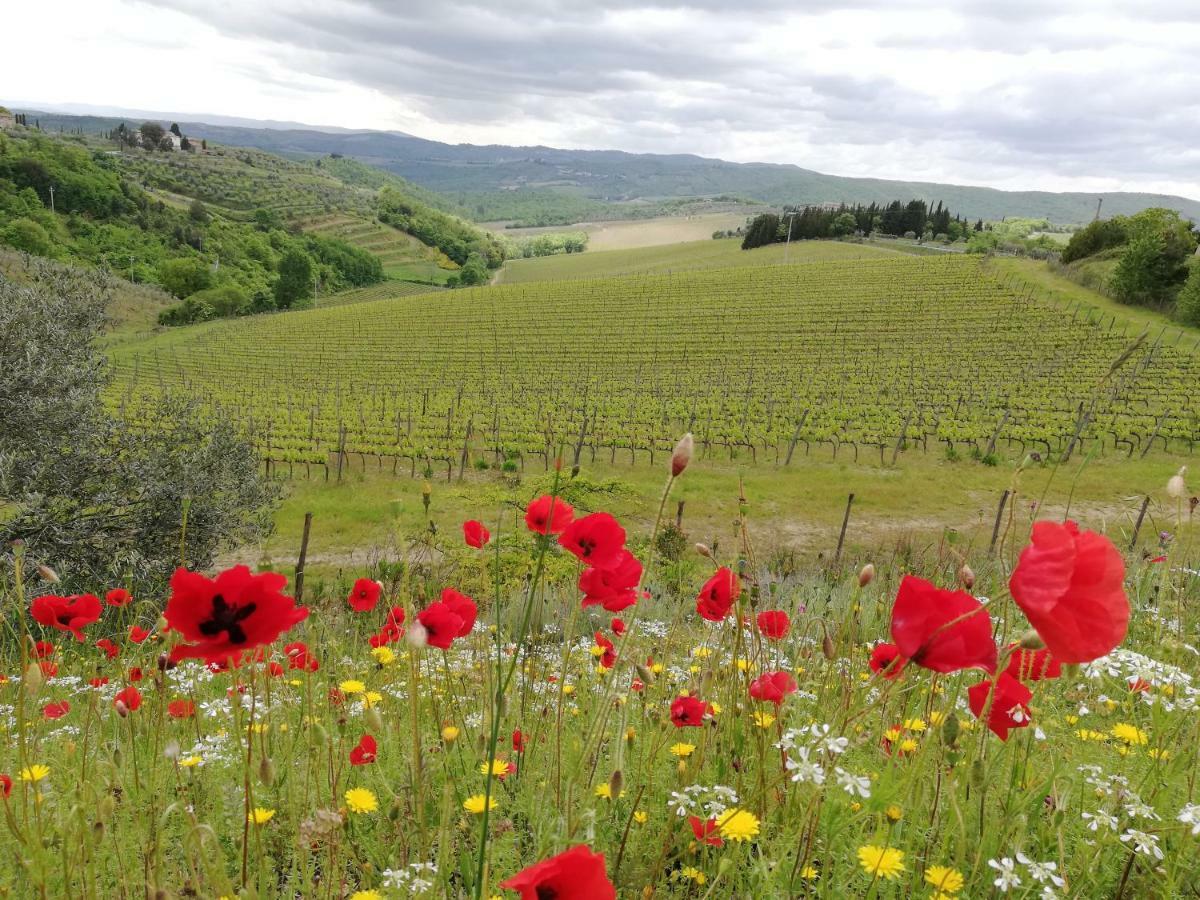 Agriturismo "Crocino In Chianti" Gaiole in Chianti Exteriér fotografie